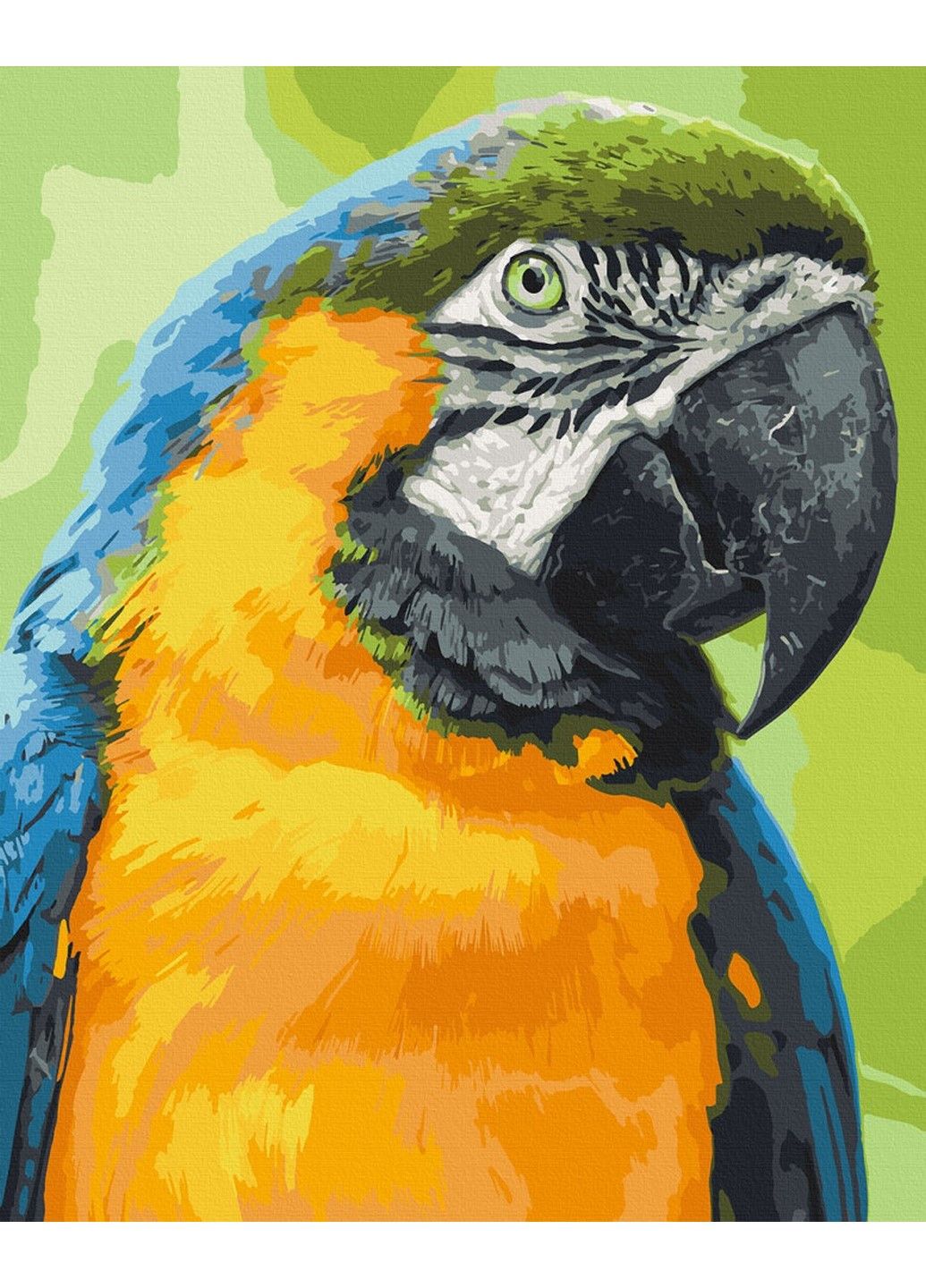 Картина по номерам "Попугай Ара" 40х50 см 11643-AC Art Craft комбинированные