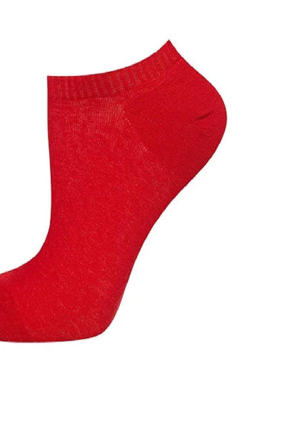 Шкарпетки плюш ТМ "Нова пара" коротка висота 108 НОВА ПАРА Короткая червоні повсякденні
