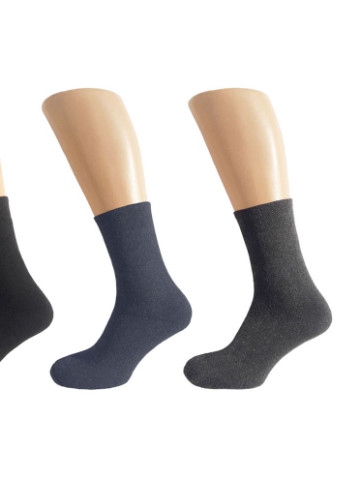 Набор теплых мужских носков 6пар, длинные, 3 цвета 39-42 Rix однотонные комбинированные повседневные